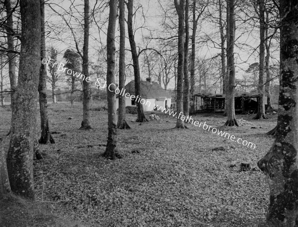 COTTAGE IN WOOD